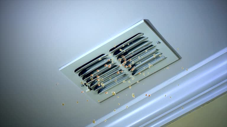 Best Best Air Duct Cleaning Company  in Orwell, OH