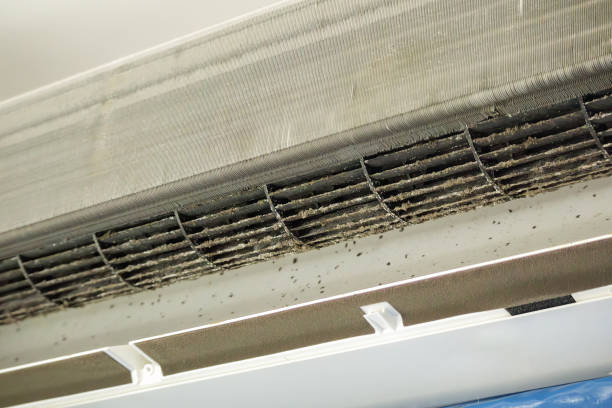 Best Commercial Air Duct Cleaning  in Orwell, OH